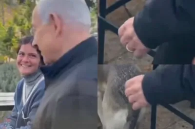 Benjamin Netanyahu este în viață sau mort..webp