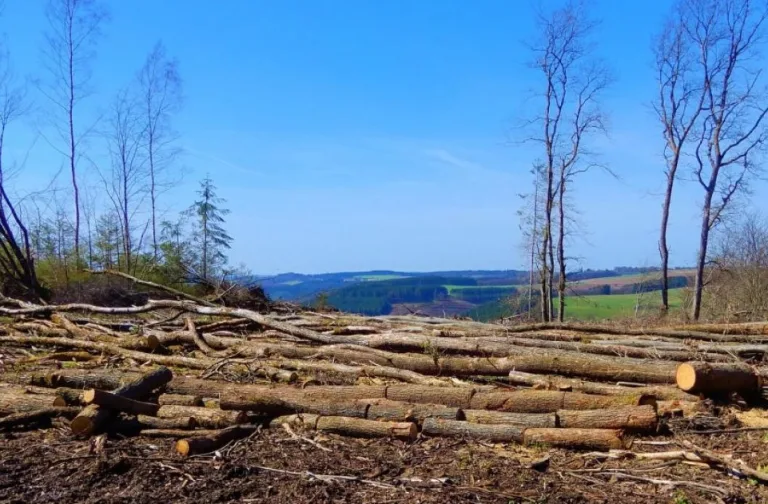 defrisarea in romania