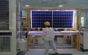 TOPCon 50 DAS Solar
